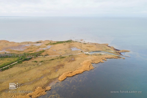 droonifotod pildistamine drooniga Matsalu aerofotod