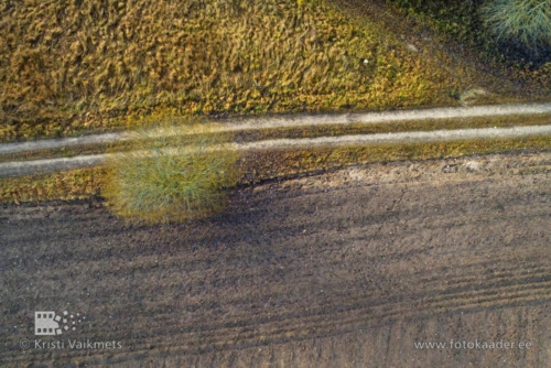 droonifotod pildistamine drooniga põllul