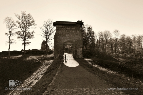 viljandi ordulinnus ordensburg fellin