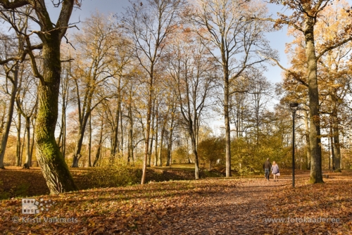 viljandi ordulinnus lossipark